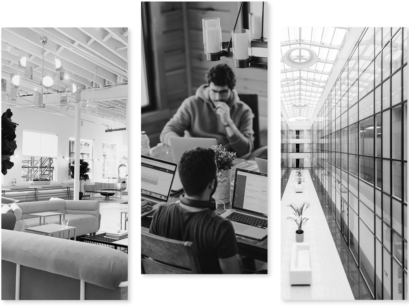 Marketing Office and Brand Manager working